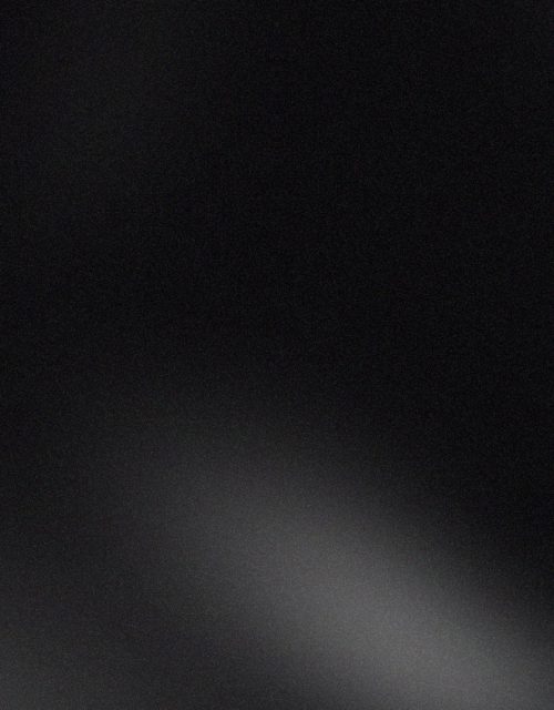 wp (Large)